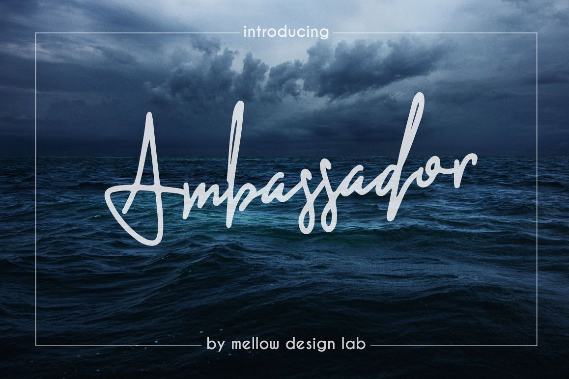 Ambassador example image 1