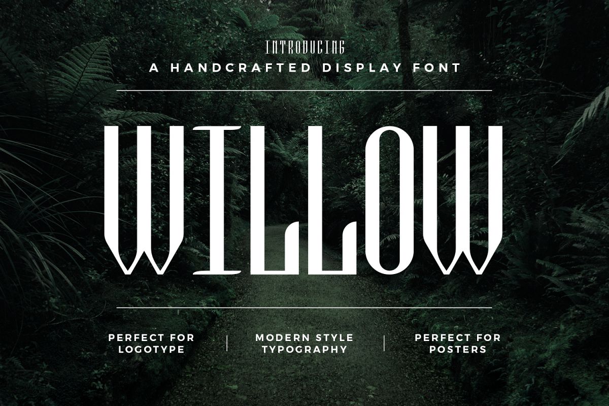 Willow example image 1