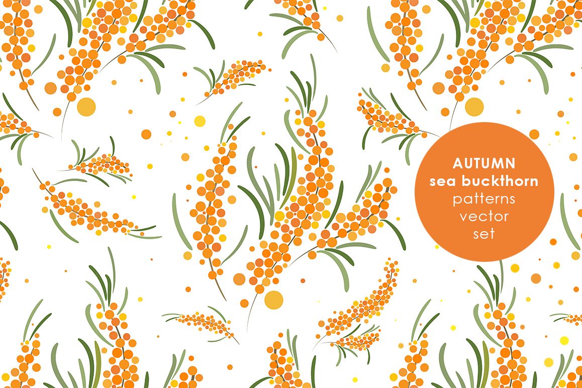 Sea buckthorn patterns set. example image 1
