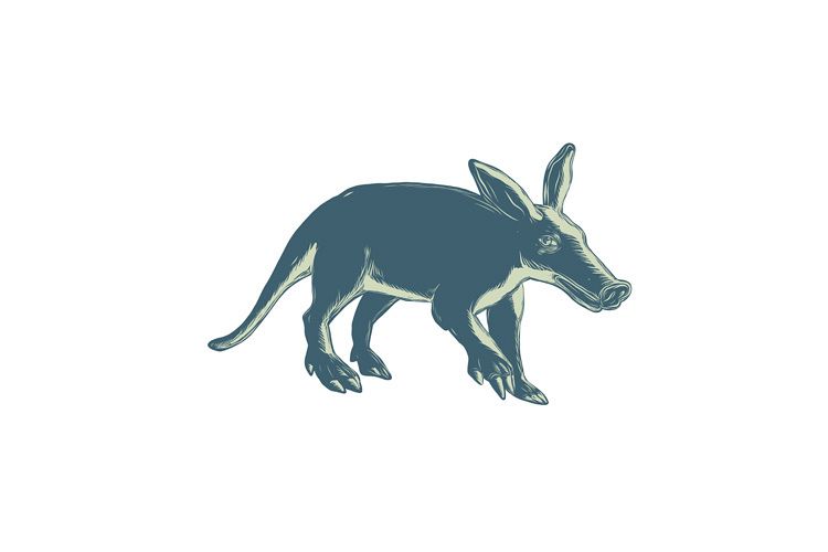 Aardvark Scratchboard Style example image 1
