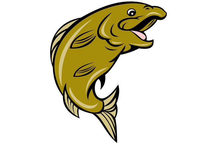cartoon trout fish jumping side example image 1