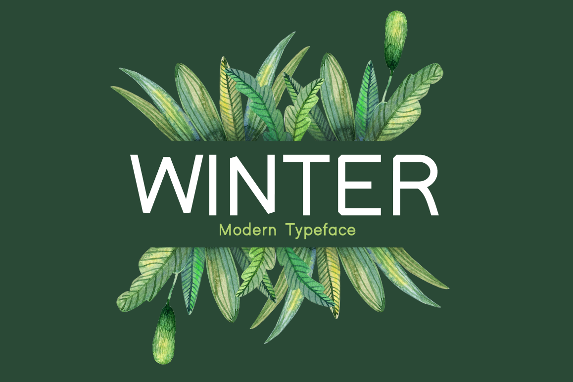 Winter example image 1