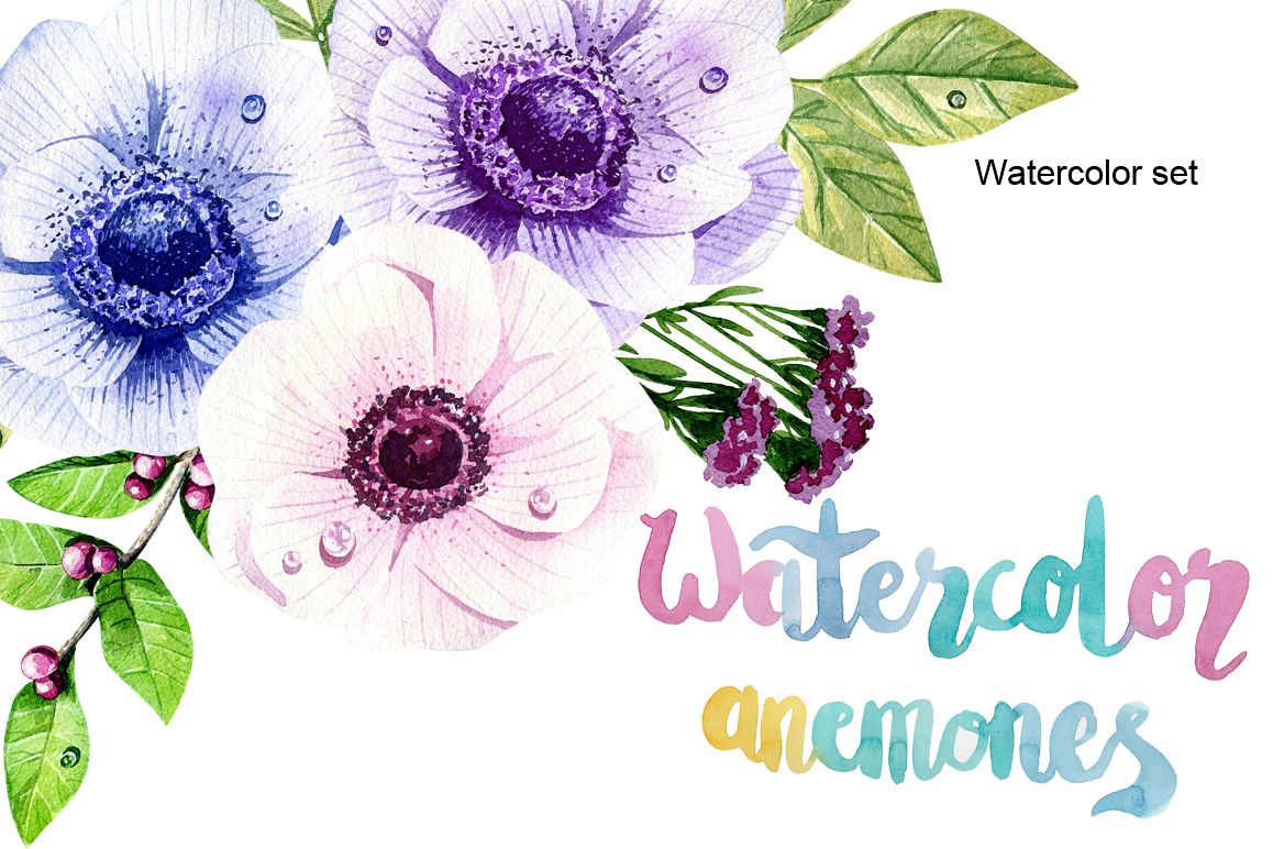 Watercolor anemones example image 1