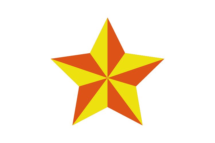 Star icon example image 1