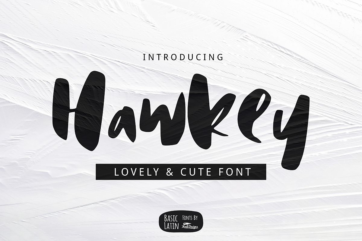 Hawkey Brush Font example image 1