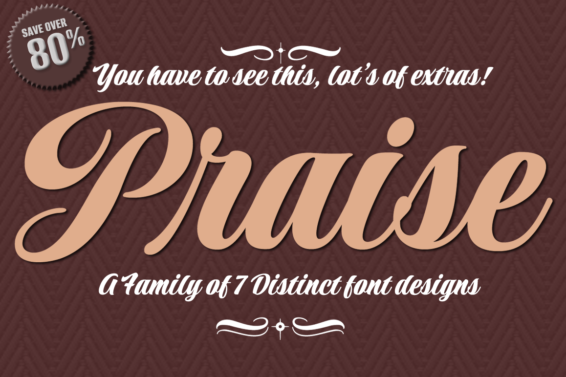 Praise Pro example image 1