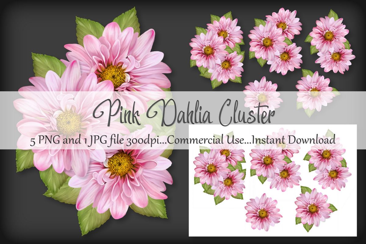 Pink Dahlia Cluster Bouquet Vignette Clipart example image 1