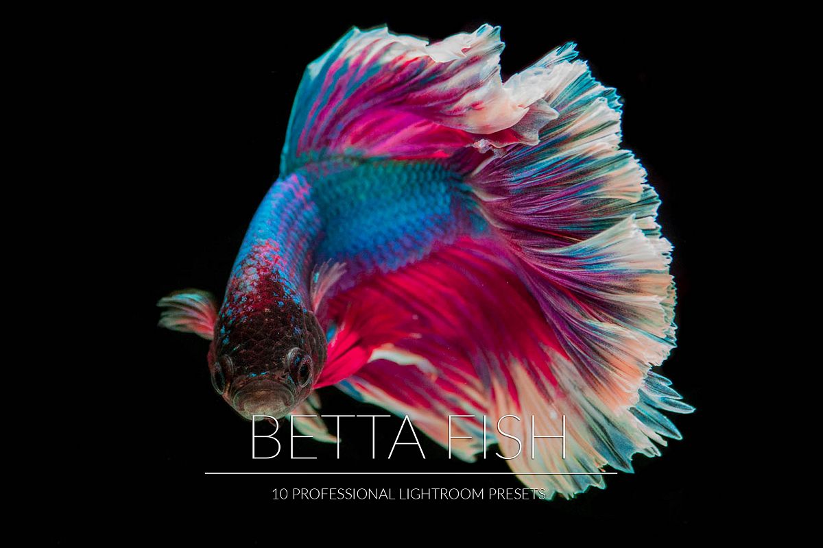 Betta Fish Lr Presets example image 1
