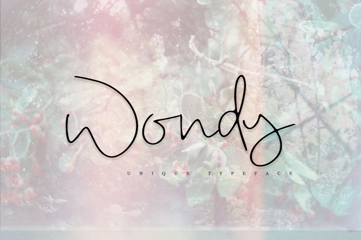 Wondy example image 1