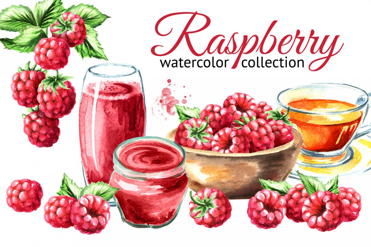 Raspberry. Watercolor collection example image 1