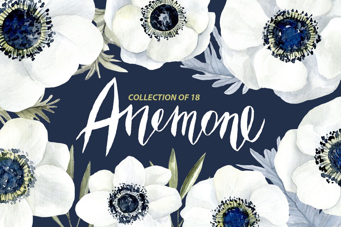 Watercolor anemone white flowers example image 1