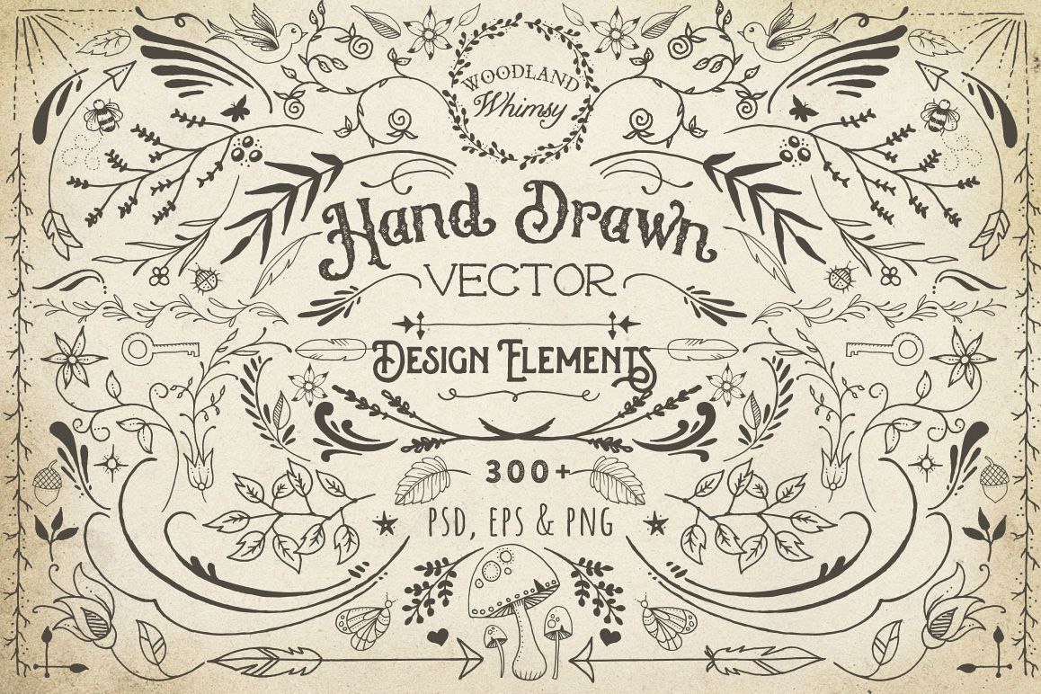 Hand Drawn Vector Design Elements example image 1