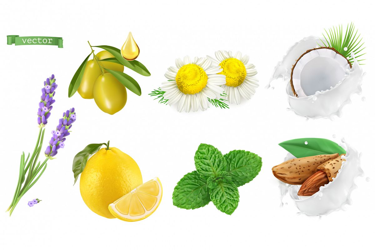 Skincare cosmetics. Lavender, chamomile, mint, almond, olive example image 1
