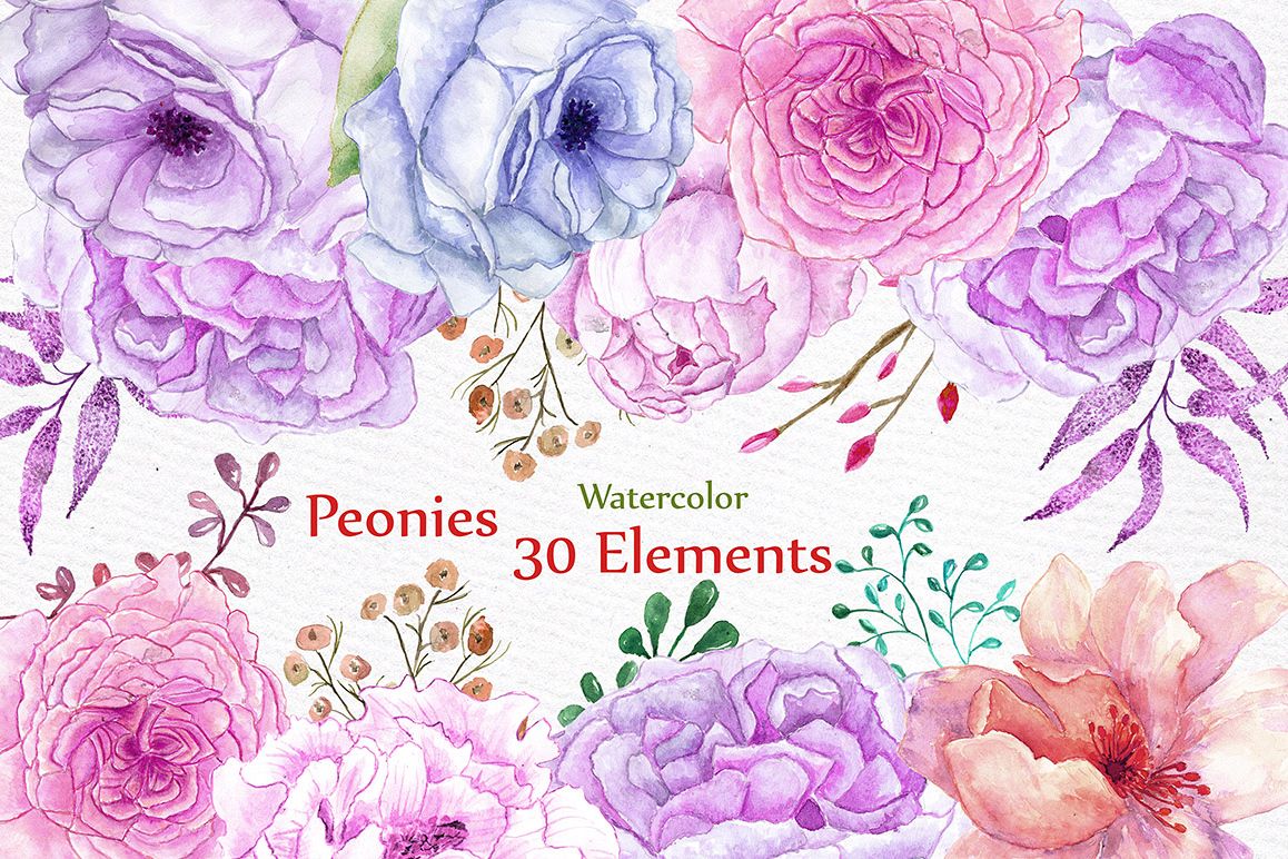 Watercolor peonies flowers clipart example image 1