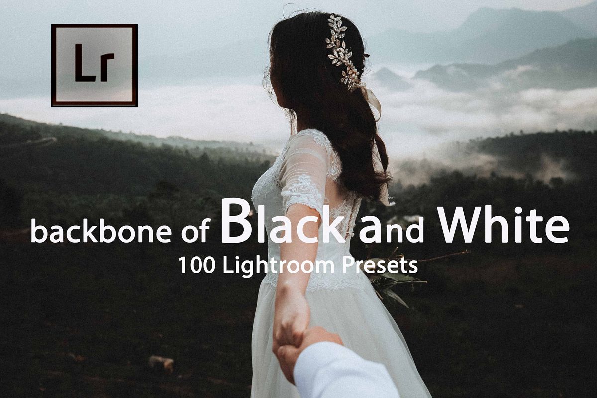 Backbone of Black and White Lightroom Presets example image 1