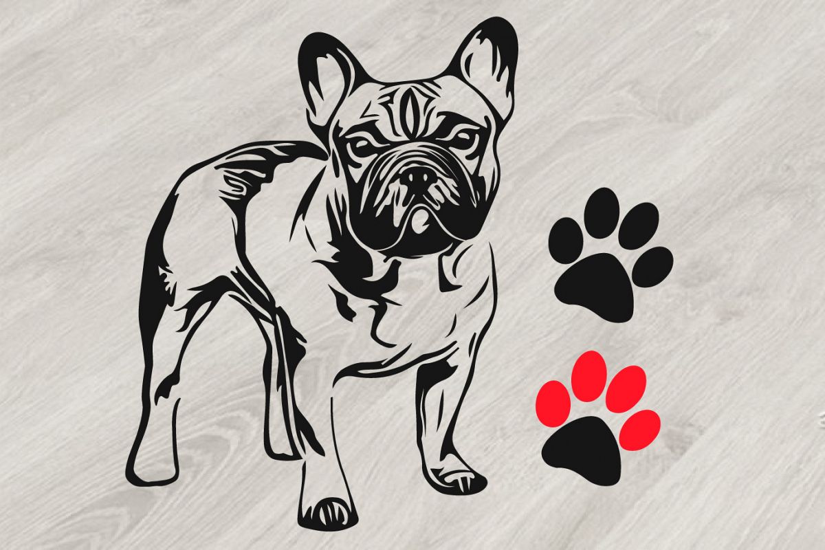 Download French bulldog SVG, cute Dog paw SVG, Family Pet, 817S (91304) | SVGs | Design Bundles
