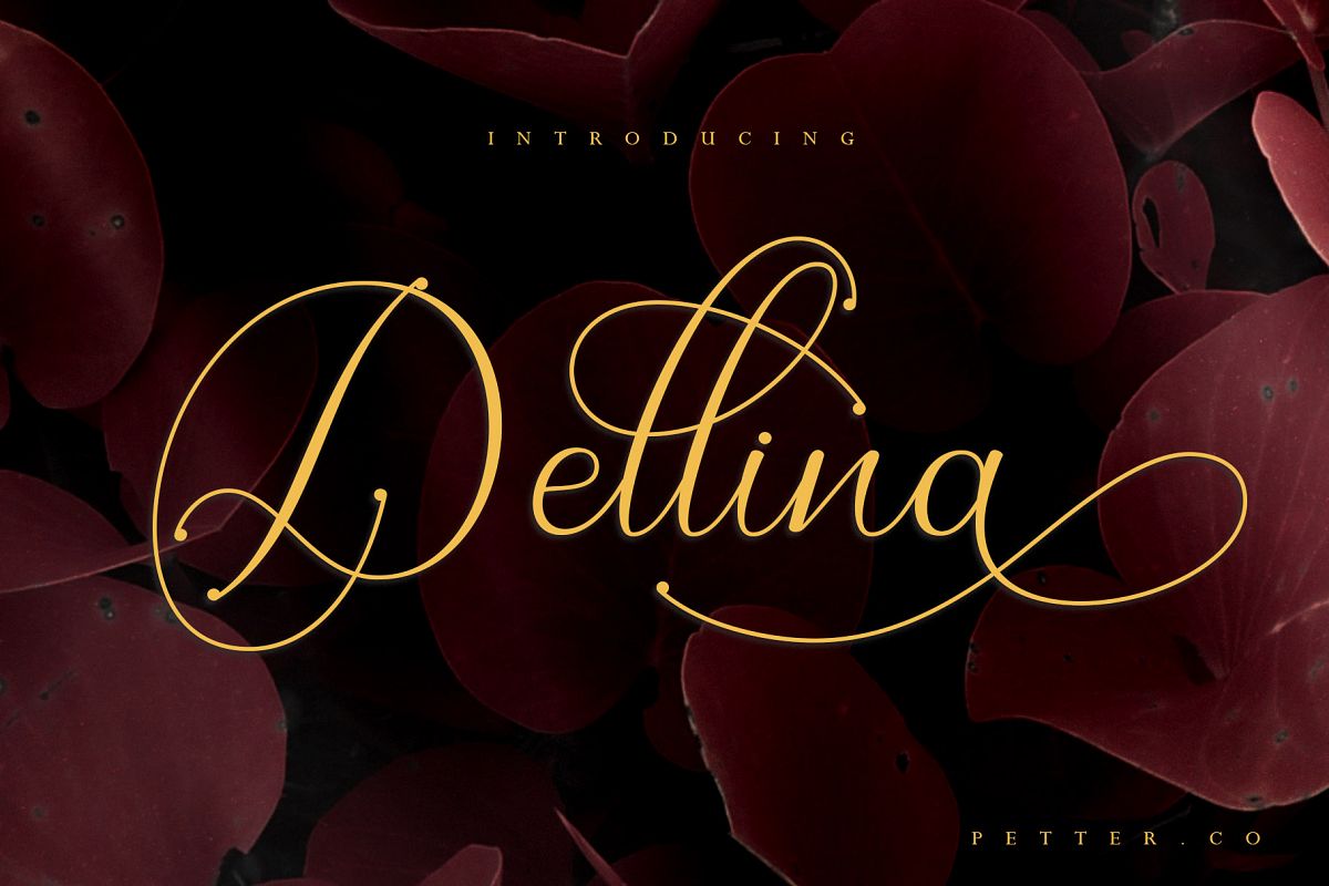 Dellina Script example image 1