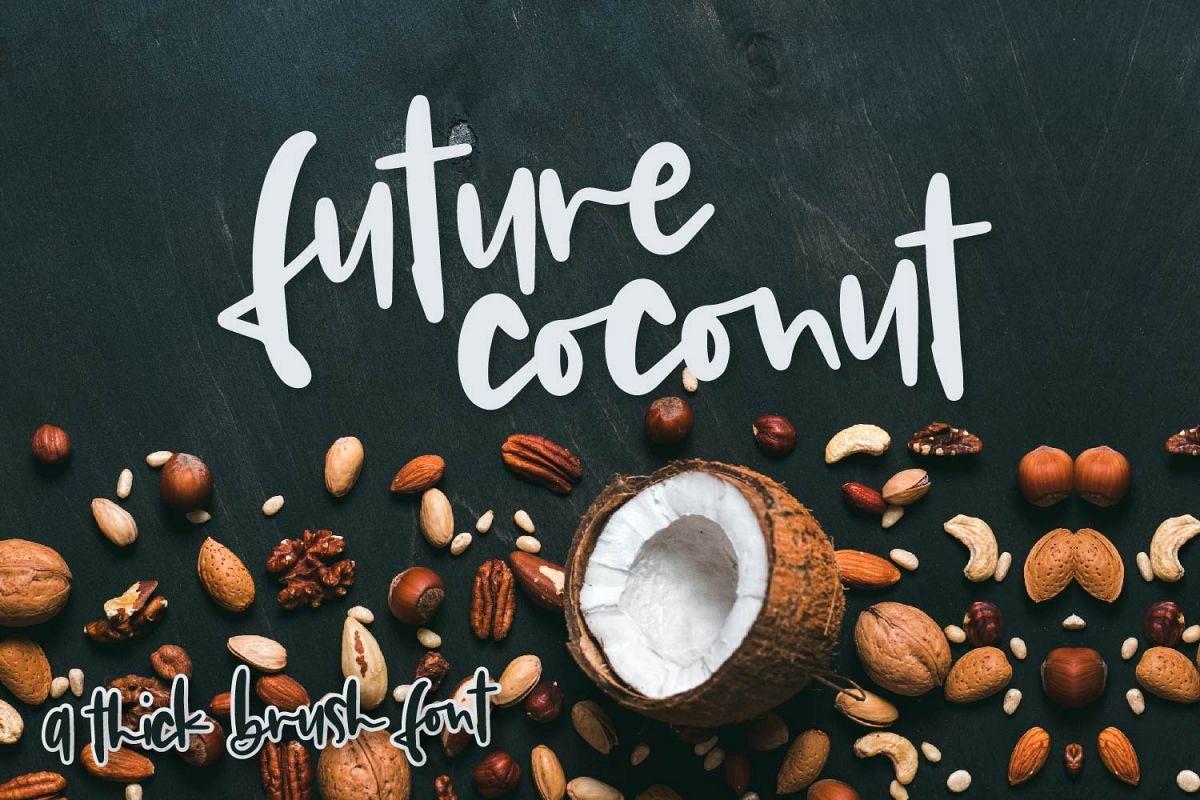 Future Coconut - A Thick Brush Font example image 1