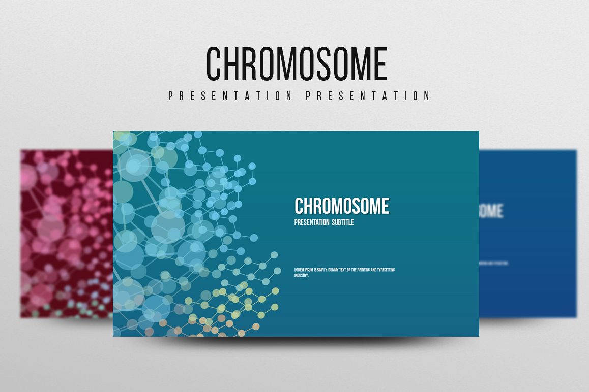 Chromosome PPT example image 1