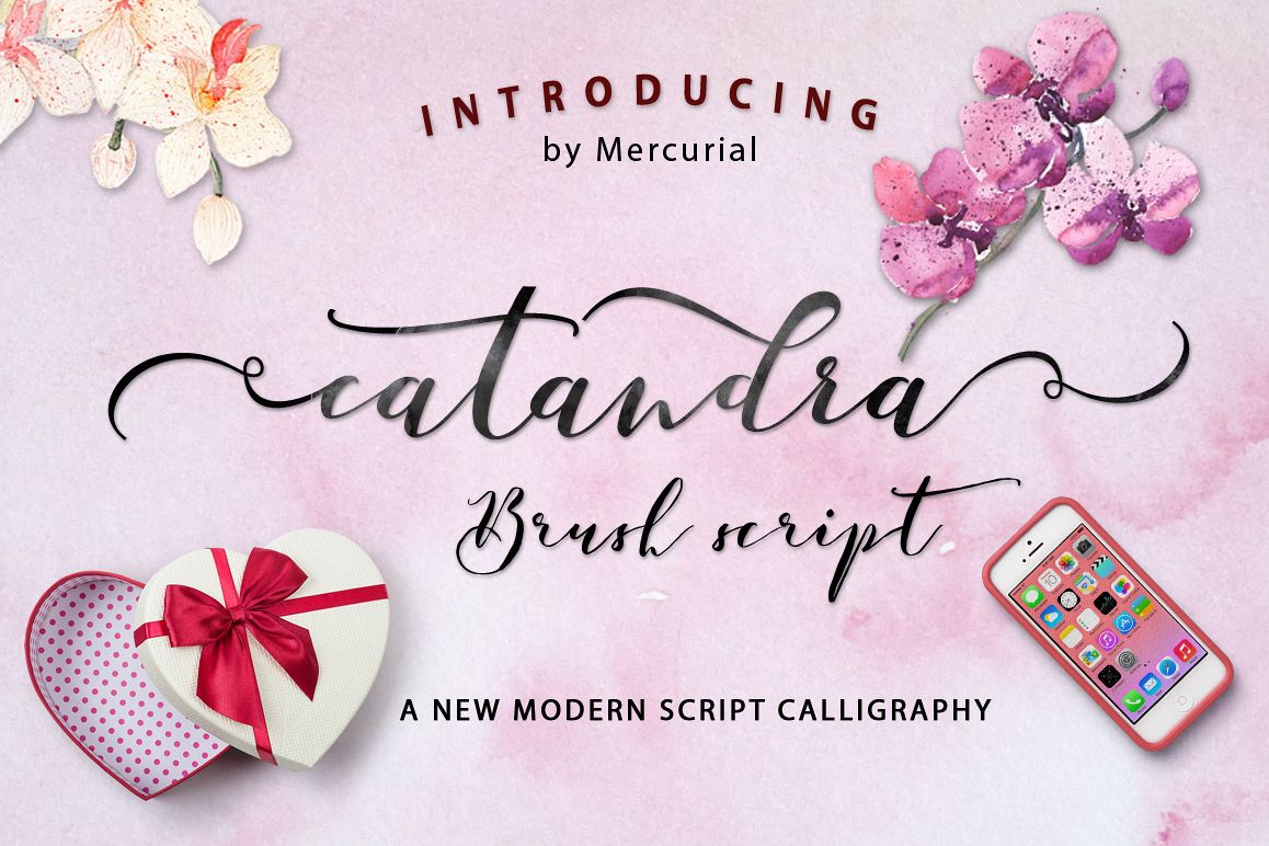 Catandra Script example image 1