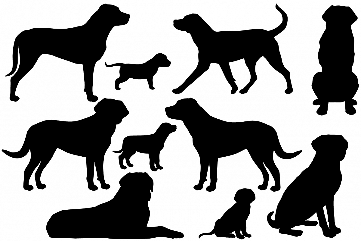 Greater swiss mountain dog silhouette example image 1