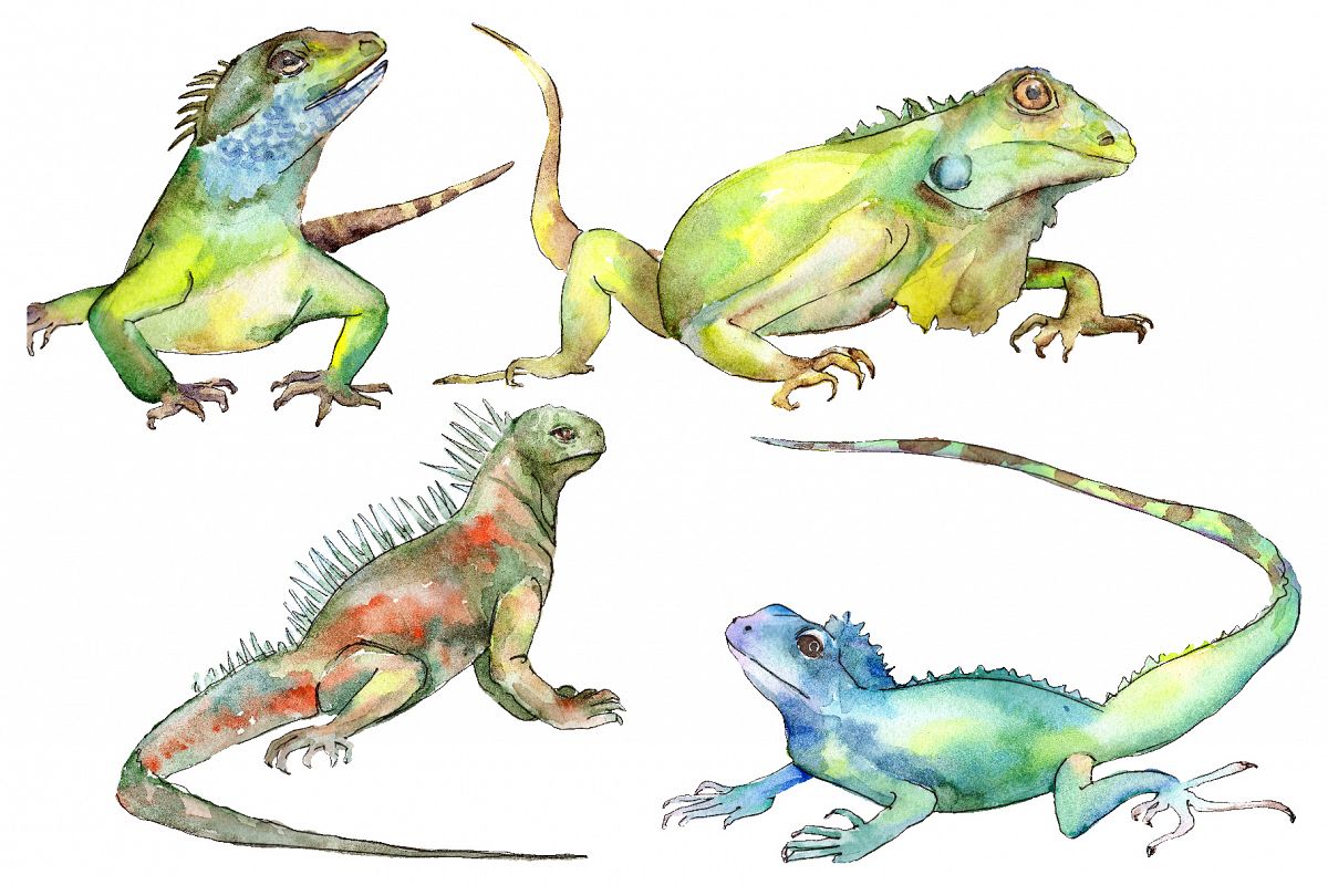 4 iguanas Watercolor png example image 1