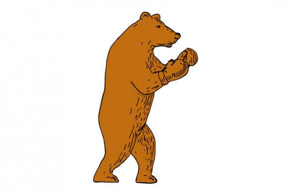 Brown Bear Boxing Stance Drawing example image 1
