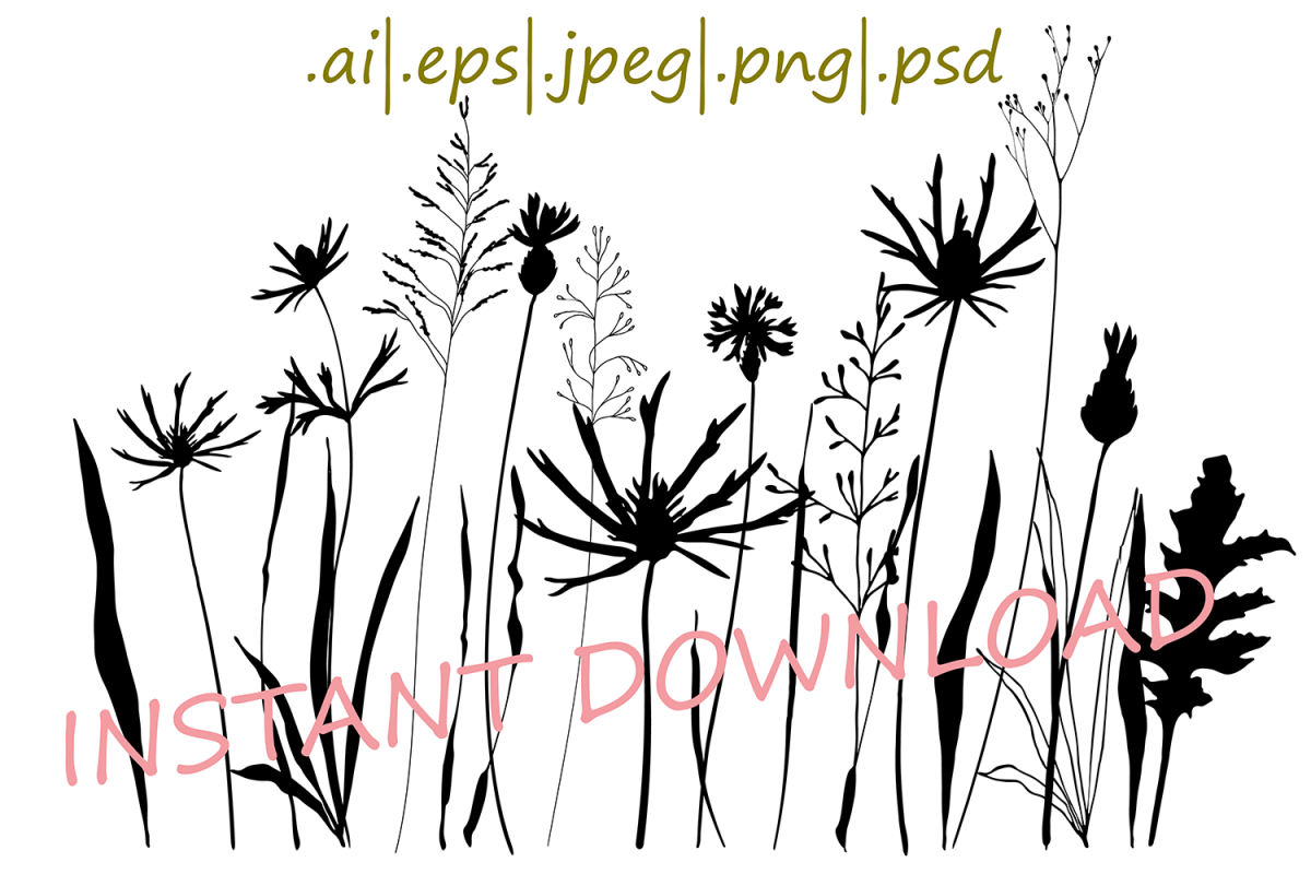 Meadow flowers , plants and grasses. example image 1