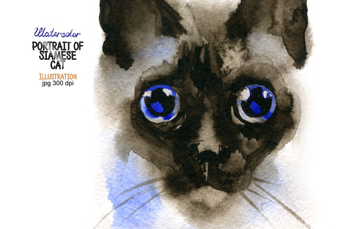 Watercolor portrait of Siamese cat example image 1