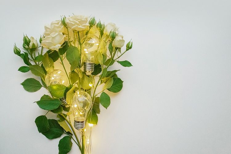 White background with roses and lamps example image 1