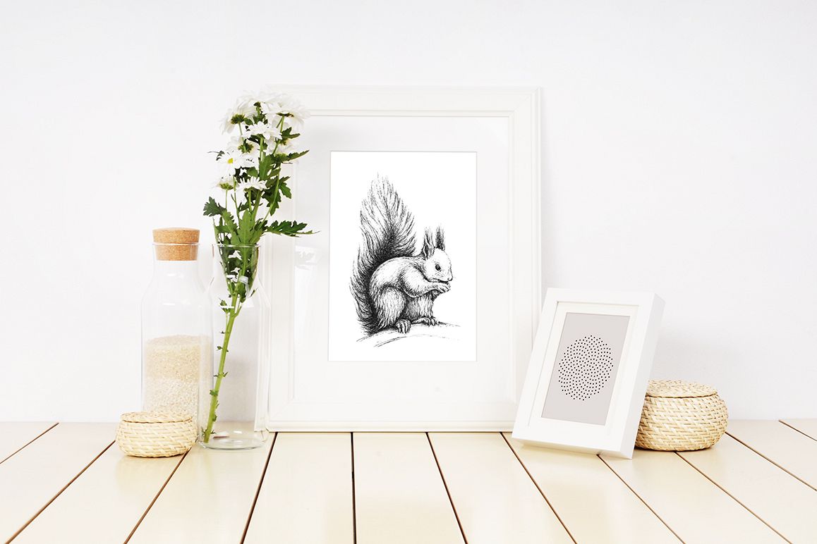 Hand drawn illustration with forest Squirrel example image 1