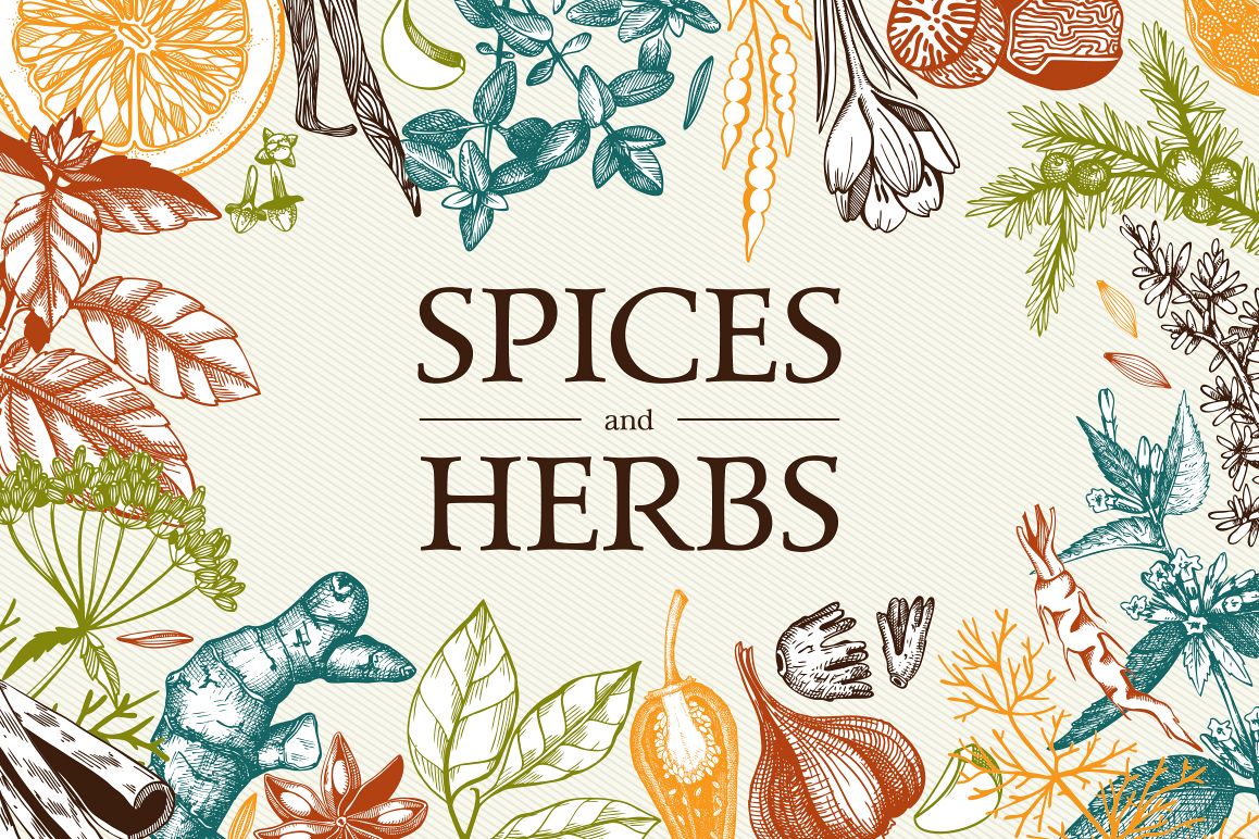 Ink Hand Drawn Spice Collection example image 1