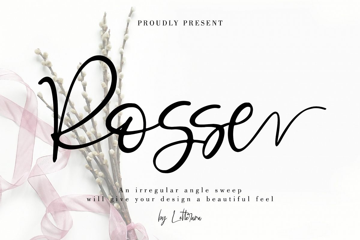 ROSSE example image 1