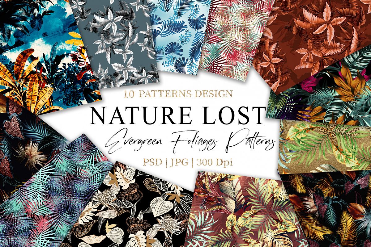 Nature Lost example image 1