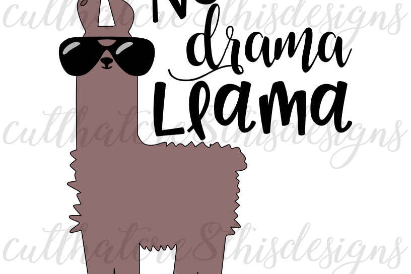 Download No Drama Llama, Animal, Llama, Cool, Sunglasses, Quotes ...