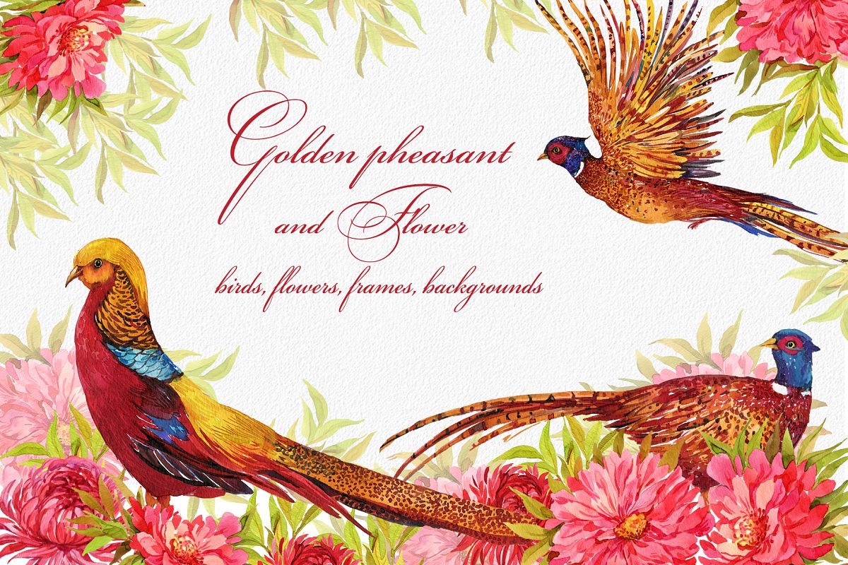 Pheasants, birds and flowers example image 1