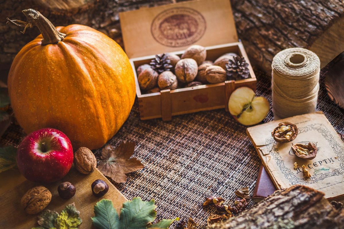 Autumn Elements example image 1