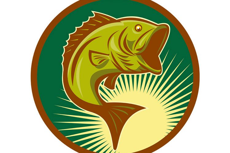 largemouth bass fish jumping example image 1