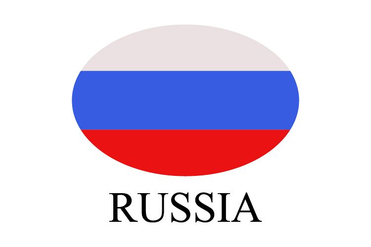Russia flag example image 1
