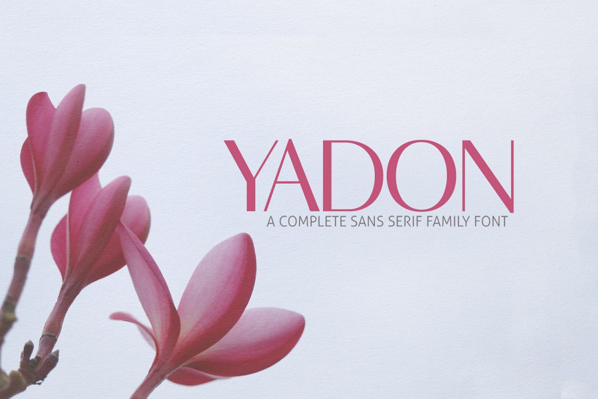 Yadon Sans Serif Typeface example image 1