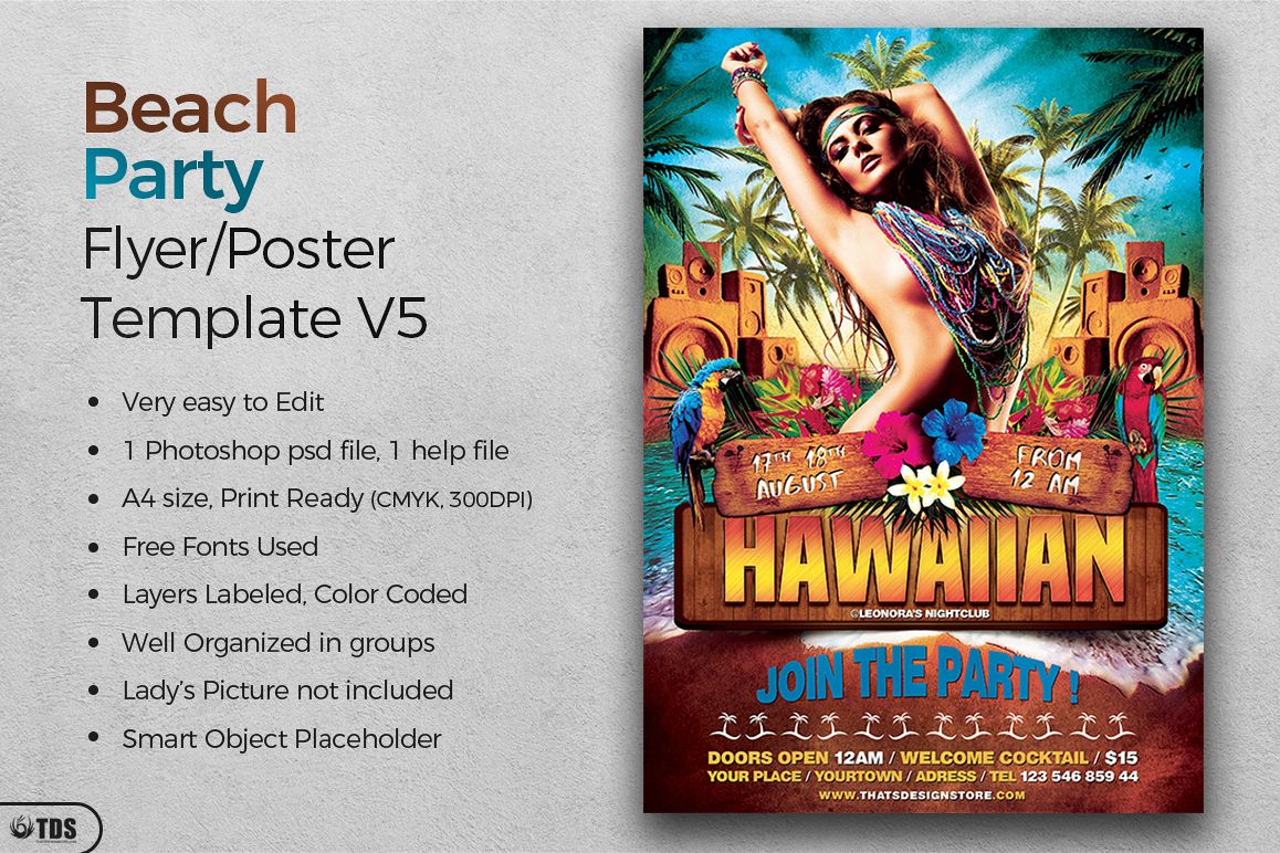 Beach Party Flyer Template V5 example image 1