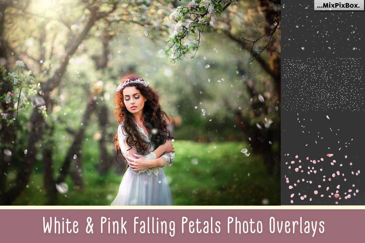 White petals photo overlays example image 1