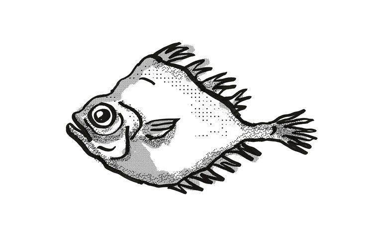 smooth oreo New Zealand Fish Cartoon Retro Drawing example image 1
