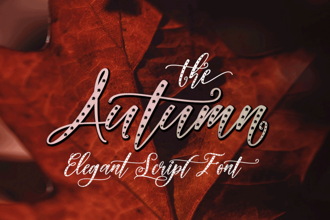 Autumn Elegant example image 1