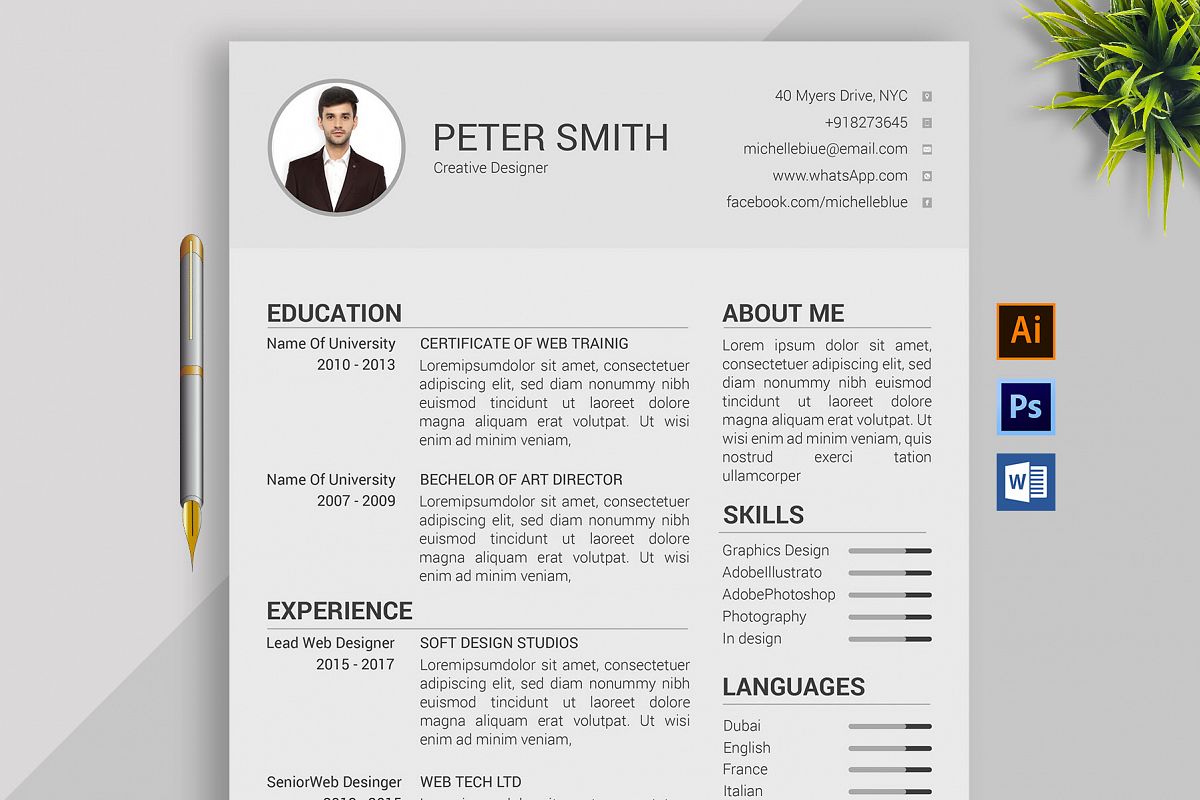 Professional Cv Resume Bonus business card Word/PSD,AI example image 1