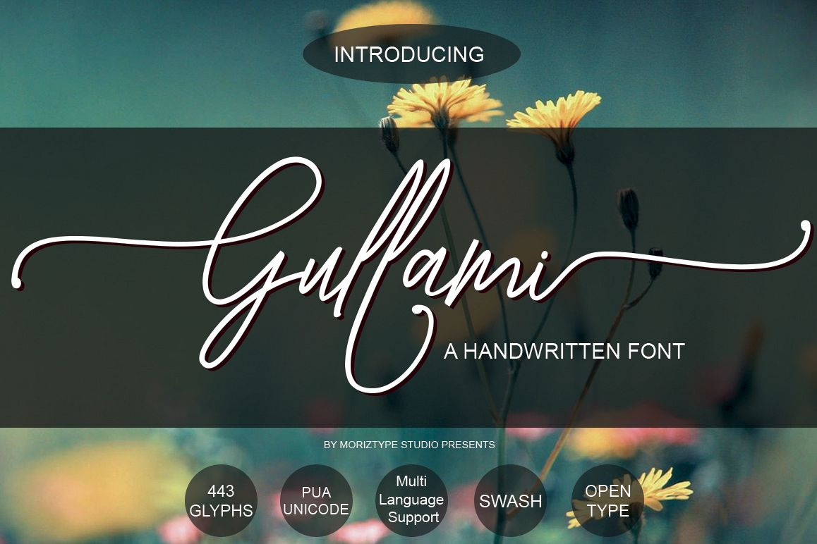 Gullami Rice Script example image 1