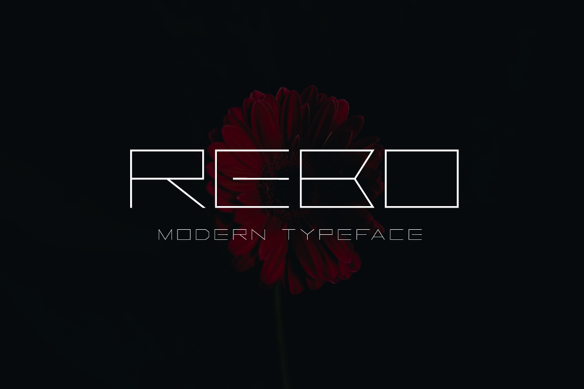 Rebo example image 1