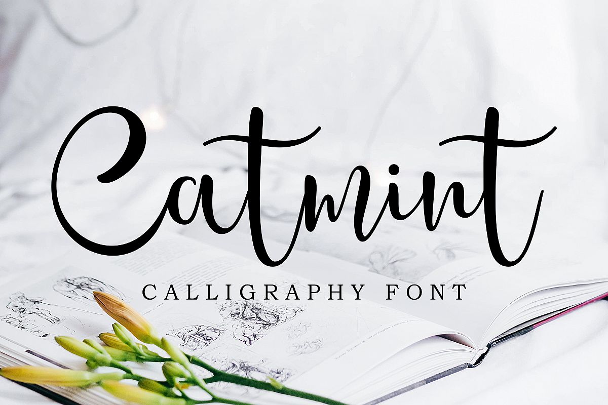 Catmint - handwritten calligraphy font example image 1