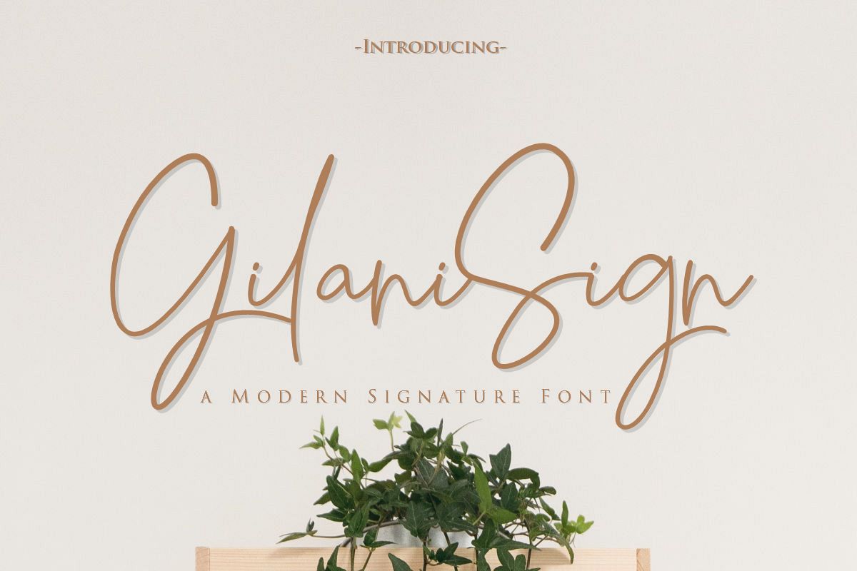 Gilani Sign| A Modern Signature Font example image 1