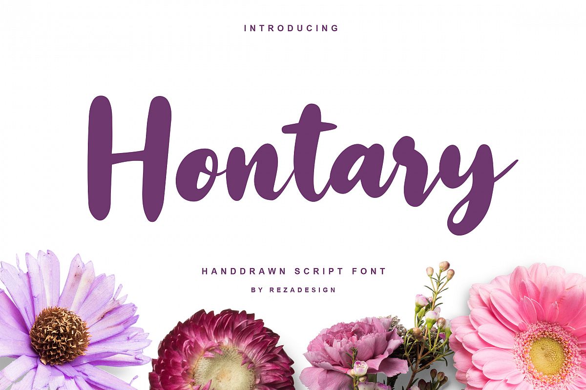 Hontary - Handdrawn Script Font example image 1